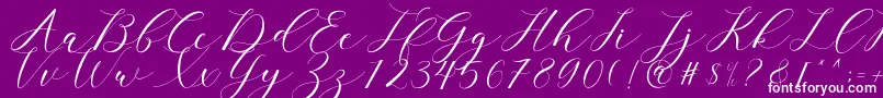 clover Font – White Fonts on Purple Background