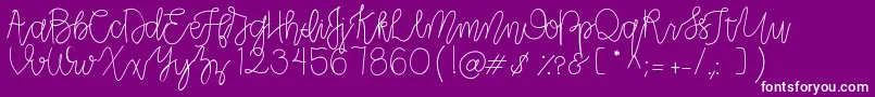 CLRPollyPlummer Font – White Fonts on Purple Background