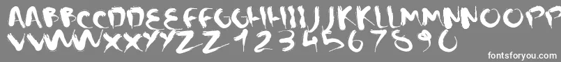 CMSquish Font – White Fonts on Gray Background