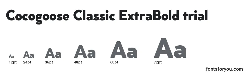 Размеры шрифта Cocogoose Classic ExtraBold trial