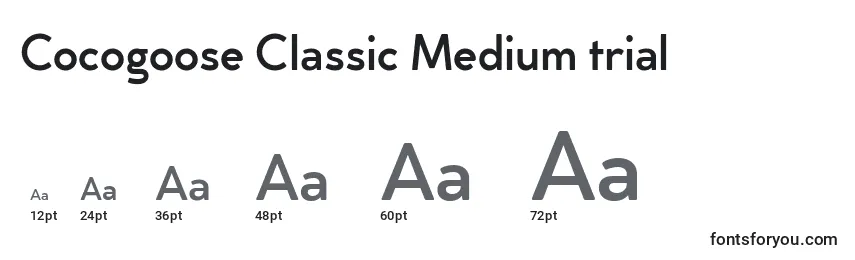 Cocogoose Classic Medium trial Font Sizes