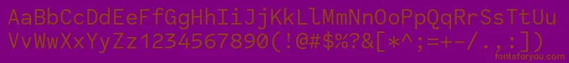 CodeSaver Regular-Schriftart – Braune Schriften auf violettem Hintergrund