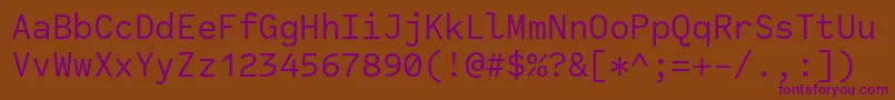 CodeSaver Regular Font – Purple Fonts on Brown Background