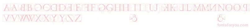 codex-Schriftart – Rosa Schriften auf weißem Hintergrund