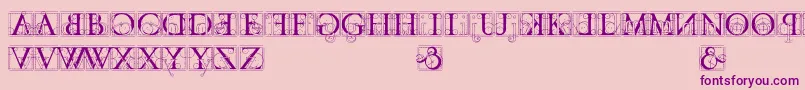 codex Font – Purple Fonts on Pink Background