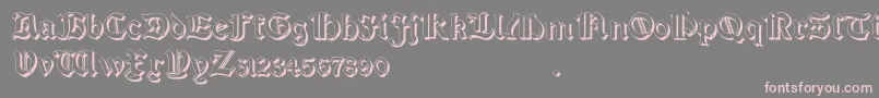 SalterioShadowTwo Font – Pink Fonts on Gray Background