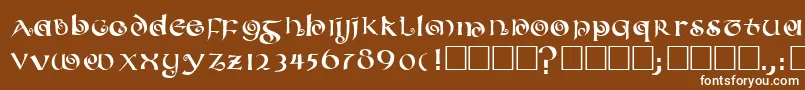 フォントCOILED – 茶色の背景に白い文字