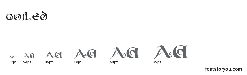 COILED Font Sizes