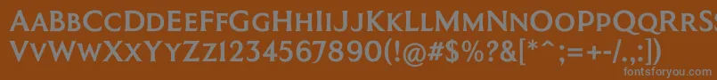 CoinageCapsKrugerGray Font – Gray Fonts on Brown Background