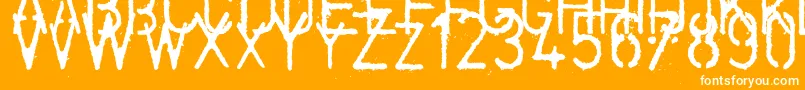 フォントcoldcoffee  2005       – オレンジの背景に白い文字