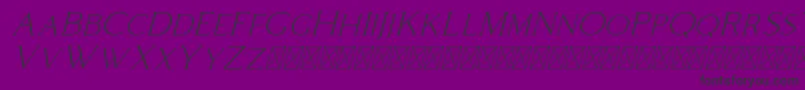 Coldiac Italic Font – Black Fonts on Purple Background