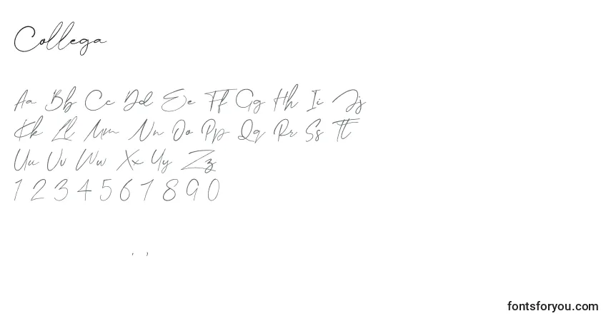 A fonte Collega – alfabeto, números, caracteres especiais