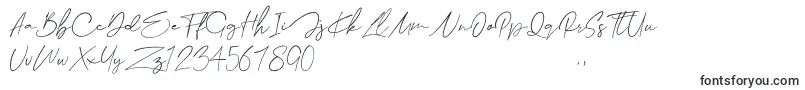 Collega Font – Handwritten Fonts
