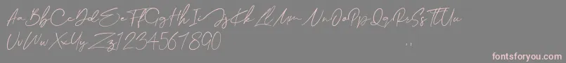 Collega-Schriftart – Rosa Schriften auf grauem Hintergrund