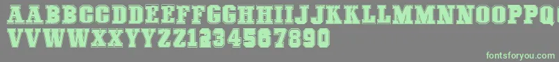 COLLEGEFREAKS Demo Font – Green Fonts on Gray Background