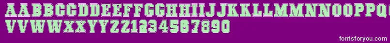 COLLEGEFREAKS Demo Font – Green Fonts on Purple Background