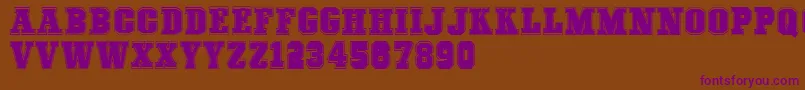 COLLEGEFREAKS Demo Font – Purple Fonts on Brown Background