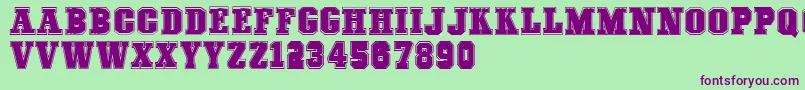 Шрифт COLLEGEFREAKS Demo – фиолетовые шрифты на зелёном фоне