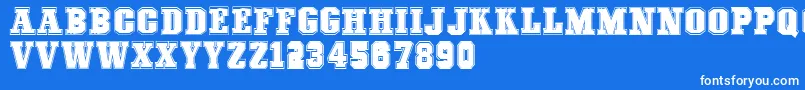 COLLEGEFREAKS Demo Font – White Fonts on Blue Background