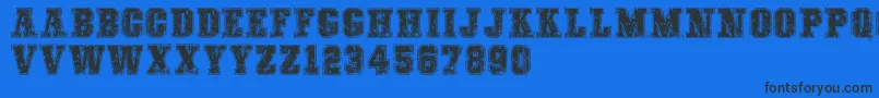 COLLEGEFREAKSDISTORTEDDEMO Font – Black Fonts on Blue Background