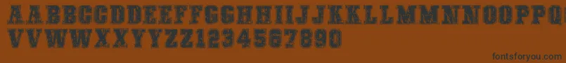 COLLEGEFREAKSDISTORTEDDEMO Font – Black Fonts on Brown Background