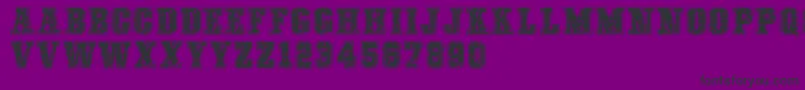 COLLEGEFREAKSDISTORTEDDEMO Font – Black Fonts on Purple Background