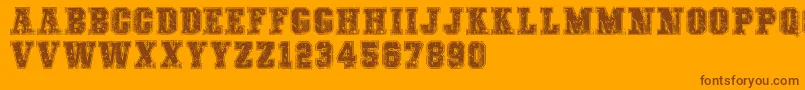 COLLEGEFREAKSDISTORTEDDEMO Font – Brown Fonts on Orange Background