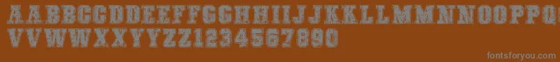 COLLEGEFREAKSDISTORTEDDEMO Font – Gray Fonts on Brown Background