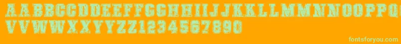 COLLEGEFREAKSDISTORTEDDEMO Font – Green Fonts on Orange Background