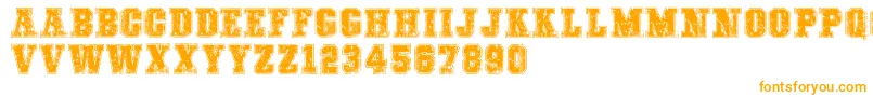 COLLEGEFREAKSDISTORTEDDEMO Font – Orange Fonts on White Background