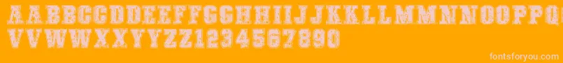 COLLEGEFREAKSDISTORTEDDEMO Font – Pink Fonts on Orange Background