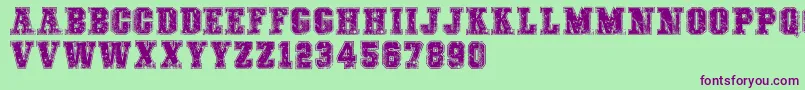 COLLEGEFREAKSDISTORTEDDEMO Font – Purple Fonts on Green Background