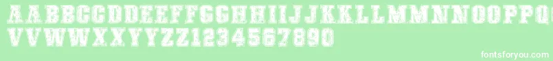 COLLEGEFREAKSDISTORTEDDEMO Font – White Fonts on Green Background