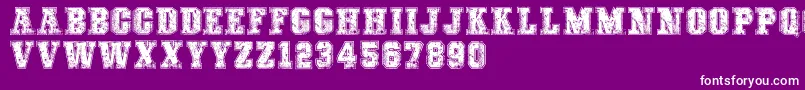 COLLEGEFREAKSDISTORTEDDEMO Font – White Fonts on Purple Background