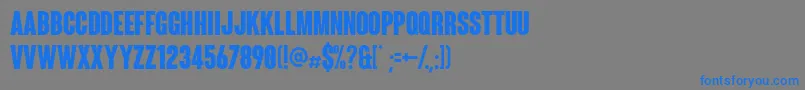 Coluna Font – Blue Fonts on Gray Background