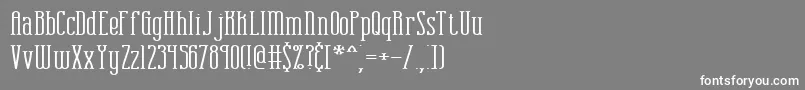 Weitere Informationen zur combustw-Schriftart combustw-Schriftart – Weiße Schriften auf grauem Hintergrund
