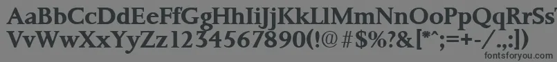 PalermoSerialBoldDb Font – Black Fonts on Gray Background
