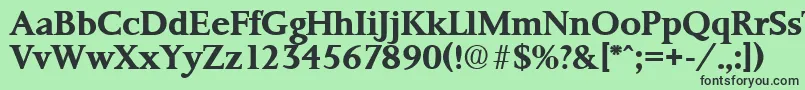 PalermoSerialBoldDb Font – Black Fonts on Green Background