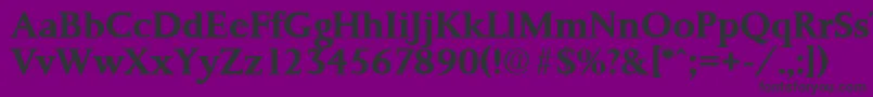 PalermoSerialBoldDb Font – Black Fonts on Purple Background