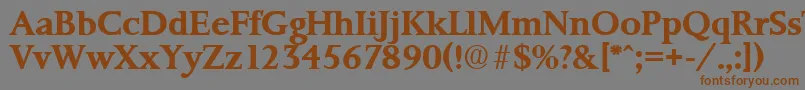 PalermoSerialBoldDb Font – Brown Fonts on Gray Background