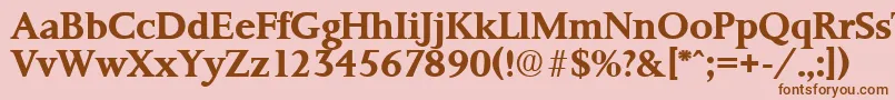 PalermoSerialBoldDb Font – Brown Fonts on Pink Background