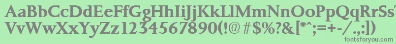 PalermoSerialBoldDb Font – Gray Fonts on Green Background