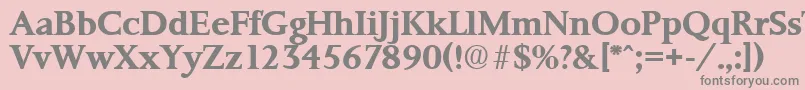 PalermoSerialBoldDb Font – Gray Fonts on Pink Background