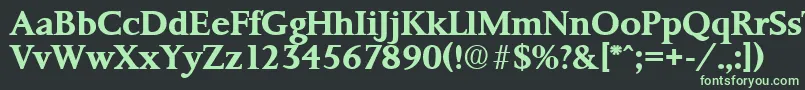 フォントPalermoSerialBoldDb – 黒い背景に緑の文字