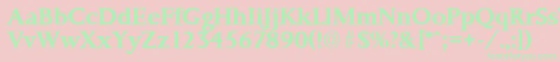 PalermoSerialBoldDb Font – Green Fonts on Pink Background