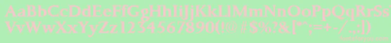 PalermoSerialBoldDb Font – Pink Fonts on Green Background