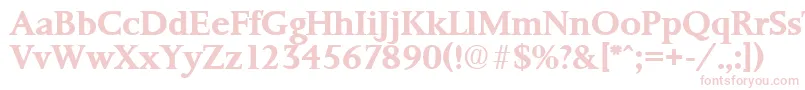 PalermoSerialBoldDb Font – Pink Fonts on White Background