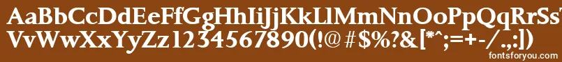 フォントPalermoSerialBoldDb – 茶色の背景に白い文字