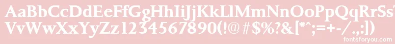 PalermoSerialBoldDb Font – White Fonts on Pink Background