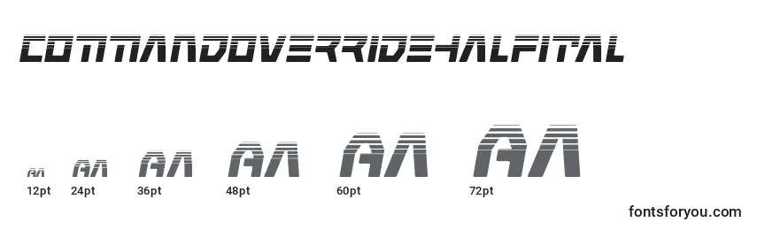 Commandoverridehalfital Font Sizes